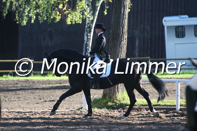 009M6068_Dynamico OLD_Dressur Mx.JPG